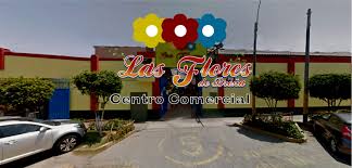 Centro Comercial Las Flores de Breña