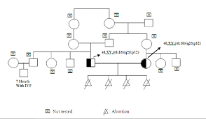 Family Pedigree With Balanced Translocation 6 16 Q26 P12