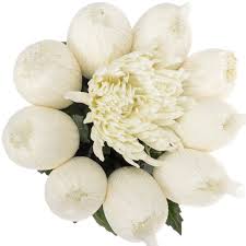 Chrys.Deko lila Saba (Deko Chrysanthemen)