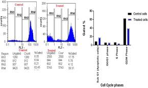 Modelo de curriculum vitae en blanco de paraguay /. A Novel Purified Lactobacillus Acidophilus 20079 Exopolysaccharide La Eps 20079 Molecularly Regulates Both Apoptotic And Nf Kb Inflammatory Pathways In Human Colon Cancer Microbial Cell Factories Full Text