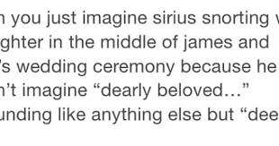 Pin By Ki Ki On Harry Freaking Potter Harry Potter Marauders Harry Potter Funny Harry Potter World