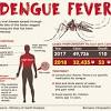 ,' there has been an increase in the number of cases reported and in 1991 , the country experienced the biggest outbreak of dengue. 1