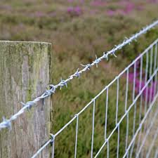 Maybe you would like to learn more about one of these? Spike Wire Fence Cheaper Than Retail Price Buy Clothing Accessories And Lifestyle Products For Women Men