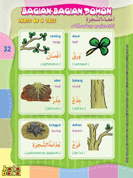 Baca Online Kamus Pintar Bergambar 3 Bahasa Adalah Buku Kamus Bergambar Full Warna Dalam 3 Bahasa Indonesia Inggris Dan Arab Untuk A Bahasa Kosakata Belajar