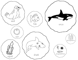 Kelly And Kim S Kindergarten Kreations Are You At The Top Of The Food Chain Food Chain Activities Food Chain Ocean Food Chain