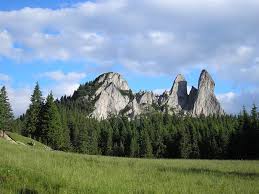 Se întinde pe o suprafață de 3 hectare în centrul masivului ciucaș, oferind un spectacol de stâncării neregulate ( stânci. RezervaÈii Naturale Din Bucovina Suceava Codrii Seculari Parcuri Naturale