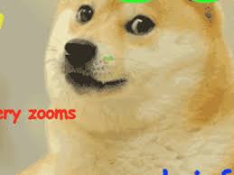 Find and save dogecoin memes | much currency. Download Gif Doge Meme Funny Memes Png Gif Base