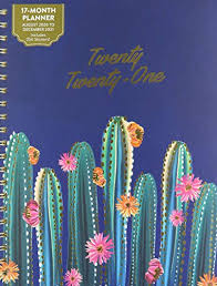 Cactus garden represents the contrast between the dry exterior and the wet interior of the cactus, with notes of matte tea, bergamot and lemongrass. Orange Circle Abebooks