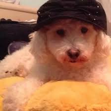 Disagreement over personal space and belongings