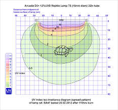 Arcadia 12 Uvb T5 Ho