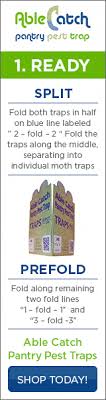 Organic and safe for use around pets. Moth Traps How To Choose An Effective Pantry Moth Trap