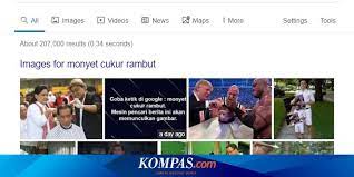 Juga telah berpengalaman mendistribusikan jas hujan ke berbagai agen maupun reseller. Ketik Monyet Cukur Rambut Di Google Muncul Gambar Jokowi Jangan Gusar Halaman All Kompas Com