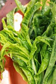 We did not find results for: Ida S Homemade Ca Fumak Enaknyaaaa