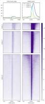 Image result for bioinformatics heatmap