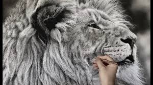 We did not find results for: Hyperrealistic Lion Drawing 85hour Time Lapse Youtube