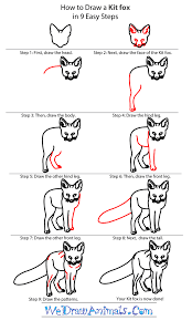 How To Draw A Kit Fox Fox Drawing Drawings Draw