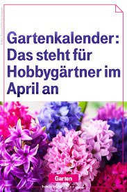 Das Sollten Sie Jetzt Auf Keinen Fall Vergessen Straucher Pflanzen Garten Gartenkalender