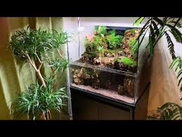 Palus = swamp) is basically the rainforest terrarium combined with an aquarium. Making An Aquaterrarium With A Big Waterfall