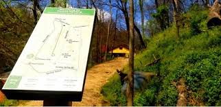 3 of our favorite eureka springs hiking trails. Buy Tickets Reserve Eureka