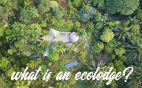 The word thus coined is a contraction of smoke fog smog — and its introduction was received with applause as being. Understanding Sustainable Travel What Is An Ecolodge