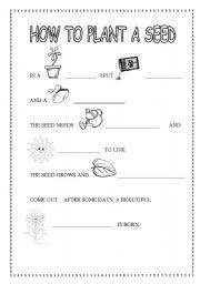 Plant the seeds open the packet of seeds and hand a few to your child. How To Plant A Seed Life Cycle Of A Plant Esl Worksheet By Carolica22