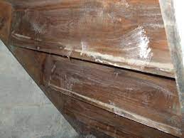 Here is a helpful homemade cleaner recipe to conveniently wipe off marks and keep your walls borax is a cheap yet equally effective drain cleaner as the commercial ones in the market. How To Treat A Mold Infestation On Wood With Borax 20 Mule Team Powder Dengarden