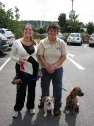 Dog Borstal - Lynne Davies Dog Training