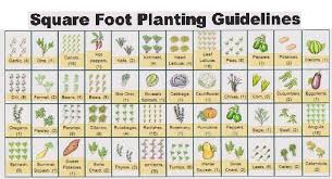 square foot gardening spacing sample ft 2 garden layout for