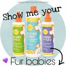 Donna Coomes (coomes101)