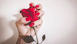 Does paracetamol make flowers last longer? 10 Ways To Make Your Valentine S Day Flowers Last Longer The Singapore Women S Weekly