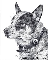Get crafts, coloring pages, lessons, and more! Buddy The Blue Heeler Finished The Cozy Red