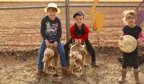 You can easily spend a leisurely day seeing the sights and exploring what this neighborhood has to offer. Outback Racing Alice Springs Camel Cup Australian Traveller