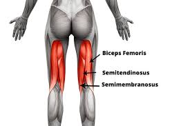 Put your affected leg about a step behind your other leg. 5 Resistance Band Hamstrings Exercises Do These At Home