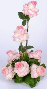 Politics, the economy, multiculturalism, the arts and education are all. 120 Flowers By Nino Ideas In 2021 Florist Flowers Same Day Flower Delivery