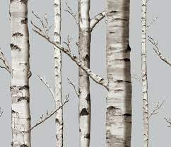 Colorful Fabrics Digitally Printed By Spoonflower Birch Grove In Whitestone Birch Tree Wallpaper Tree Wallpaper Bedroom Birch Tree Mural