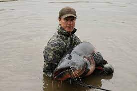 What Do Catfish Eat The Big Mystery
