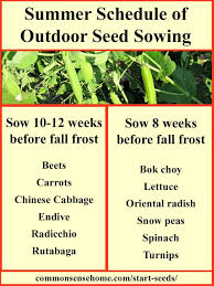 When Should I Start Seeds Printable Charts For When To