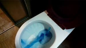Daiso Automatic Toilet Bowl Cleaner Flushing The Toilet Bowl After Putting The Blue Daiso Tablet Into The Toil Toilet Bowl Cleaner Toilet Cleaner Toilet Bowl
