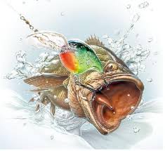 Download Bass Fishing Tips Fish Wallpaper Fish Art Fish