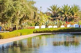 Our 100% pure organic moroccan argan oil is an amazing 'liquid gold' beauty elixir with wondrous natural recuperative benefits. A Relaxing Day At The Beldi Country Club Witchfield Interior
