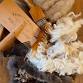 Clean & Card Wool w/ Cecelia — Ozark Folkways event in Winslow, AR