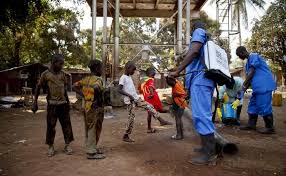Fruit bats belonging to the pteropodidae family are thought to be the natural hosts of the ebola virus, although the virus has not been isolated yet from bats in natural conditions. Who Expects Guinea To Announce End Of Ebola Outbreak On Saturday Reuters
