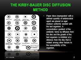 Kirby Bauer Disc Diffusion Method Antibiotic Susceptibility Testing Skill Based Learning Dr T V Rao Md Dr T V Rao Ppt Video Online Download