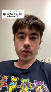 Gorillas vs Declan McKenna: A Hypothetical Debate