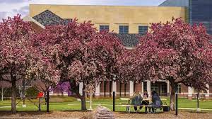 6 800 Plus Huskers Named To Spring Deans List Ianr News