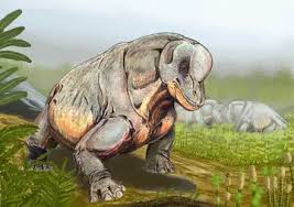 Image result for Monactinocephalus