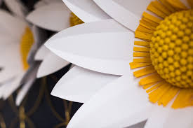 (i can't imagine cutting everything by hand, although i know some people do this.) in cricut design space, go to images and in the search bar enter 'flowers.' next, select filters and choose '3d objects. Diy Giant Paper Daisies Cricut