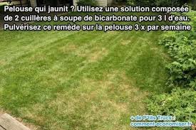 Pelouse Qui Jaunit Le Remede Naturel Qui Marche Pelouse Entretien Pelouse Jardinage