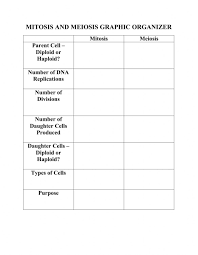 Students compare terms such as diploid and haploid, mitosis and meiosis, and germ cells and somatic cells. Mitosis Meiosis Graphic Organizer Worksheet