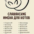 pin na doske zhivotnye